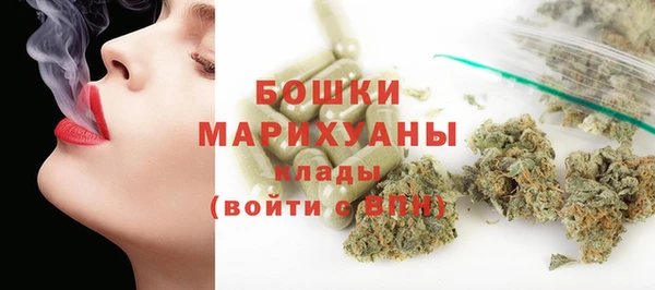 прущие грибы Краснослободск