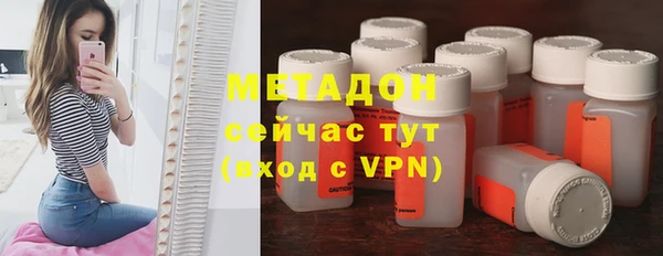 прущие грибы Краснослободск
