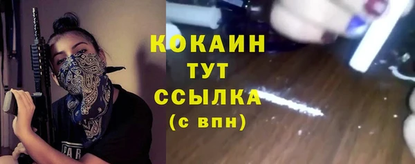 прущие грибы Краснослободск