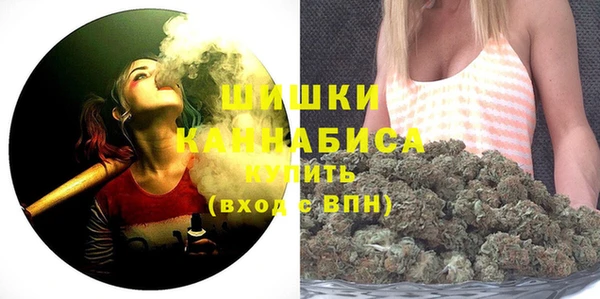 прущие грибы Краснослободск