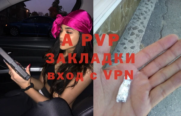 прущие грибы Краснослободск