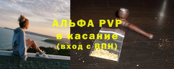 прущие грибы Краснослободск