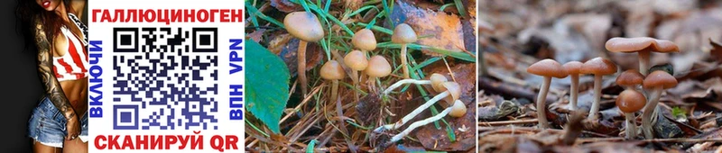 Галлюциногенные грибы MAGIC MUSHROOMS  kraken ТОР  Лебедянь 